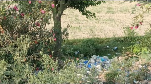 پودوں کو خوراک، پانی کی بجائے کوڑے کرکٹ سےڈھانپ دیا