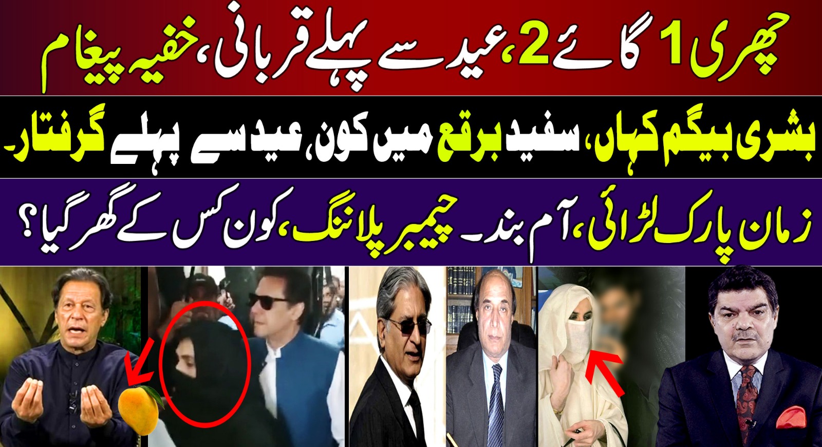 بشریٰ بیگم کہاں، سفید برقع میں کون،عید سے پہلے قربانی؟