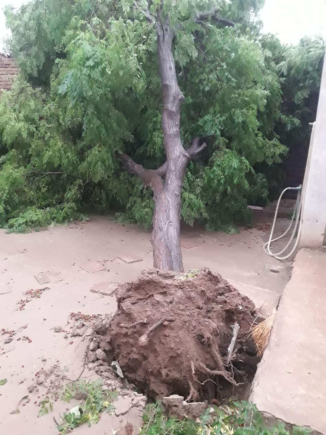 خیبر پختونخوا مختلف علاقوں میں طوفان اور بارش نے 8 افراد کی جان لے لی