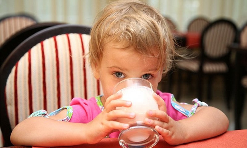 اونٹنی کا دودھ صحت کیلئے کتنا مفید؟نئی تحقیق جاری