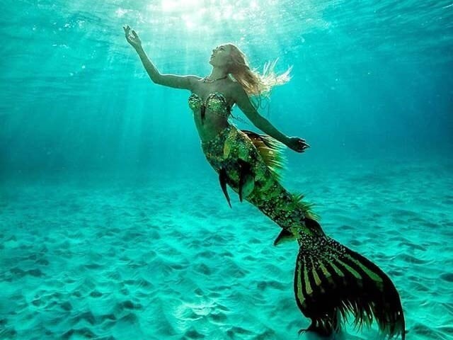 mermaid