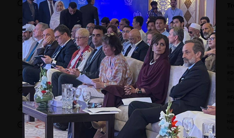 بے گھر ہونے والوں کی تعداد میں کا فی اضافہ ہوا ہے ،حنا ربانی کھر