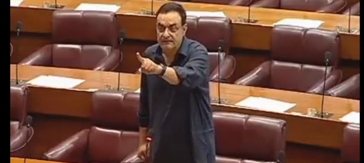 آپ نے کمیٹی کا بیڑہ غرق کر دیا، سینیٹر طلحہ محمود کا نور عالم سے مکالمہ