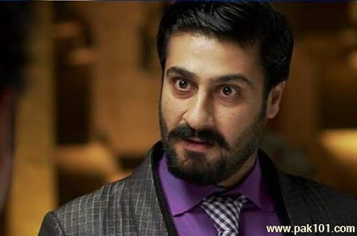 منفی کردار میری ترجیحات میں‌ ہیں کامران جیلانی