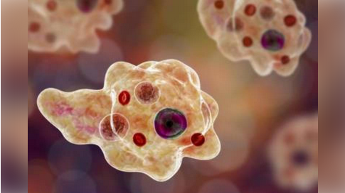 لاہور میں نیگلیریا کے پہلے کیس کا انکشاف