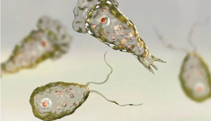 پانی میں نیگلیریا کی موجودگی نے لاہور کے باسیوں کے لئے خطرے کی گھنٹی بجادی