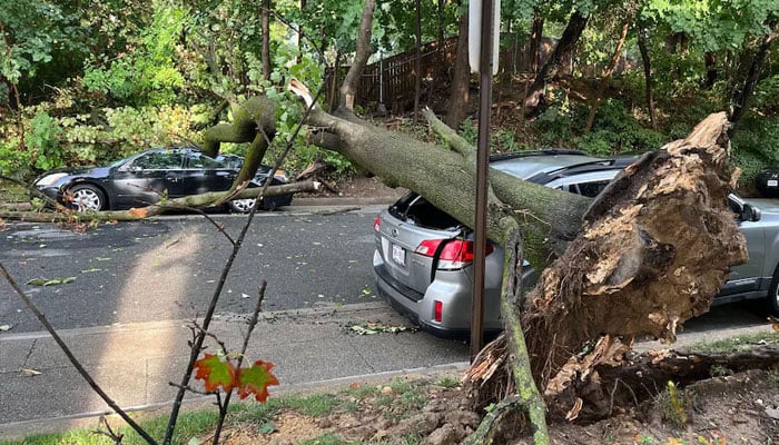 واشنگٹن ڈی سی میں طوفانی ہوائیں ہزاروں افراد بجلی سے محروم