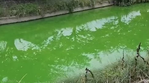 جاپان کے دریا کا رنگ بدل گیا