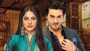 وڈیو فیک ہے میرا نیلم منیر سے افئیر نہیں ہے احسن خان