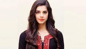 بچہ پیدا نہیں کروں گی صنم سعید