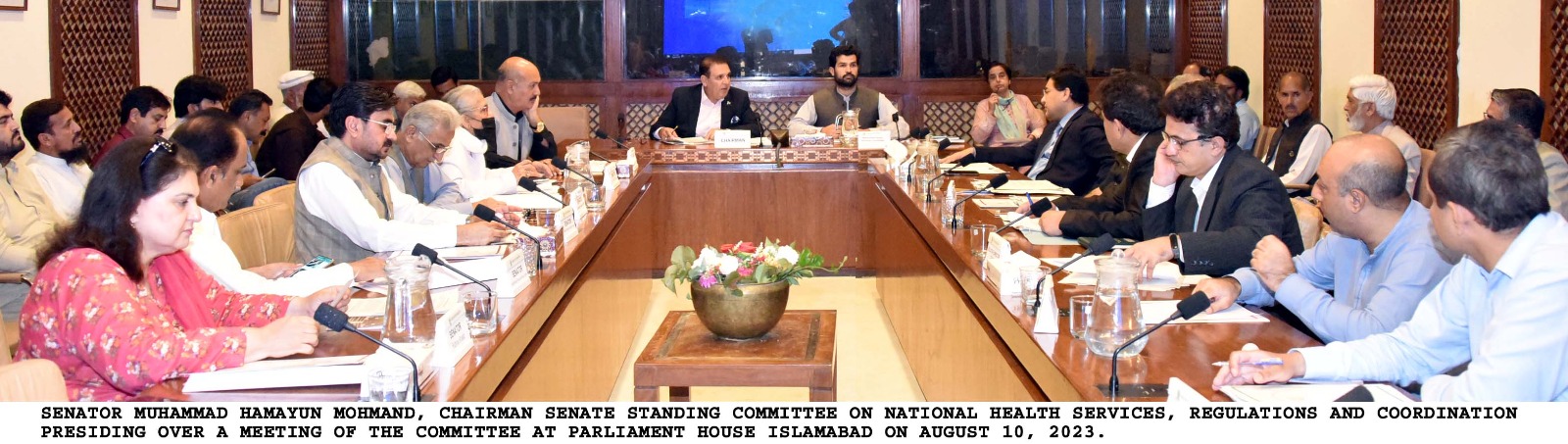 انجرڈ پرسنز میڈیکل بل؛ مریض کو پوچھا تک نہیں جاتا.  سینیٹر مہر تاج