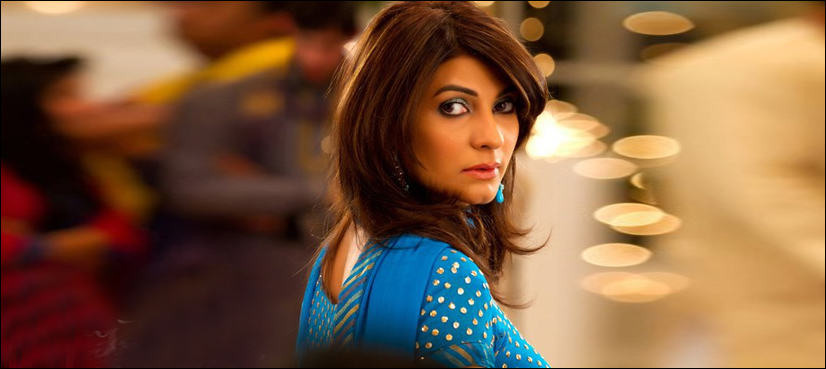 فریحہ پرویز جلد ہی یوٹیوب پر پروگرام شروع کریں گی