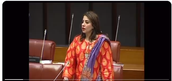 سول آرمڈ فورسز میں ایئرپورٹ سیکیورٹی فورس کو بھی شامل کیا جائے۔پلوشہ خان