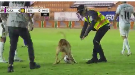 فٹ بال میچ؛ کتا بال  اٹھا کر بھاگ گیا