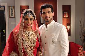 میں نےجان بوجھ کر ٹی وی چھوڑا مونا سنگھ