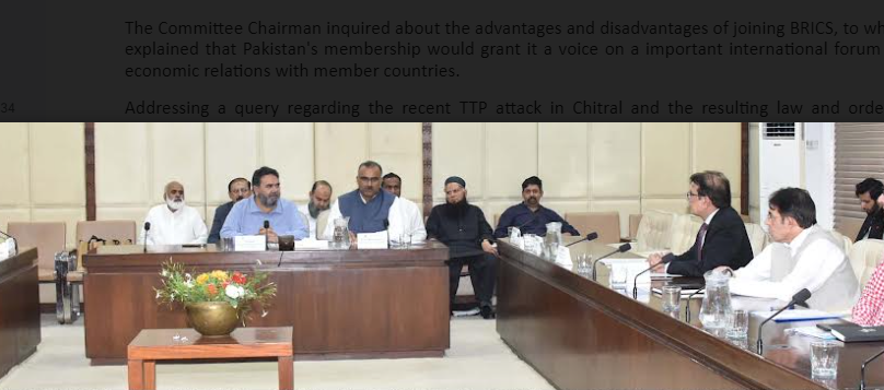 پاکستان کا روشن مستقبل چین کے ساتھ جڑا ہوا ہے،سینیٹر رانا محمود الحسن