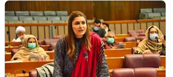 لگتا ہے وزرا نے ایوان کی کاروائی کا بائیکاٹ کر دیا، شازیہ مری