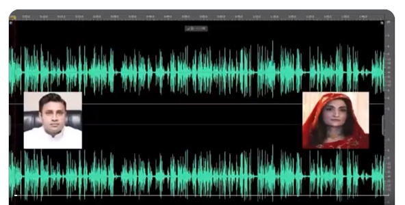 بشریٰ ،زلفی بخاری آڈیو لیک،بشریٰ بی بی نے درخواست دائر کر دی