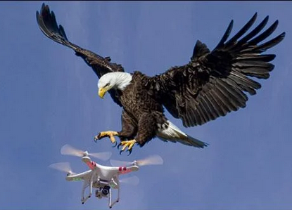 کیا اے پی ایم ایل کی رجسٹریشن ختم ہونے کے بعد  عقاب کا نشان آئی پی پی کے نام؟