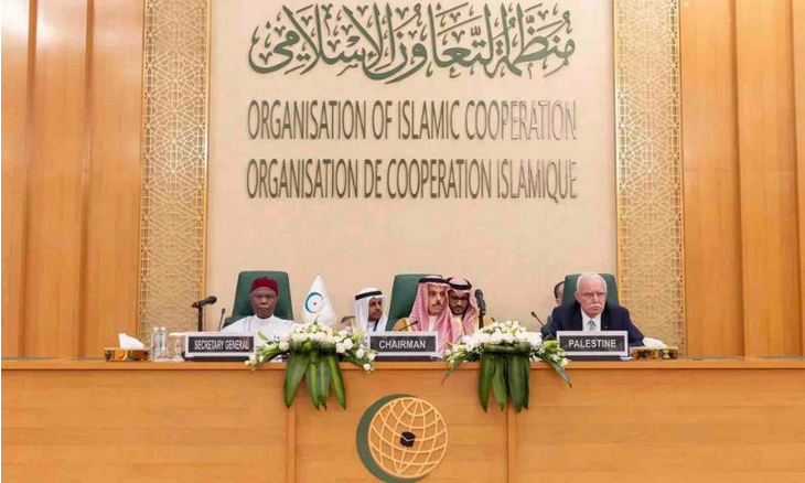 اسرائیلی ظلم  و جبر  پر وزرائے خارجہ؛  او آئی سی ایگزیکٹو کمیٹی کا  اجلاس