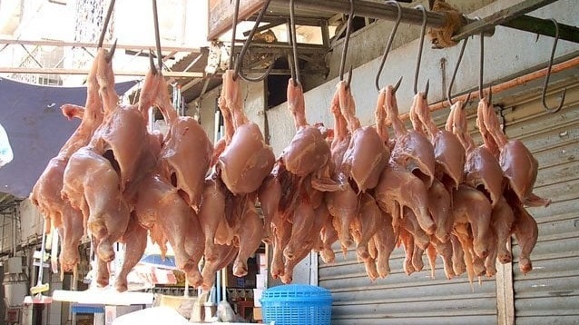 جیل میں مردہ مرغیوں کے گوشت کی سپلائی کا انکشاف