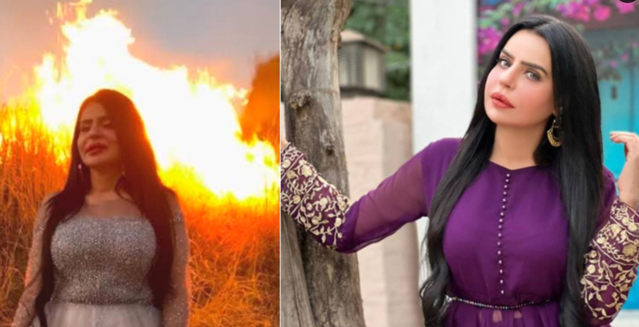 ٹک ٹاک سٹار ڈولی 16 ملین روپے کی ٹیکس نادہندہ