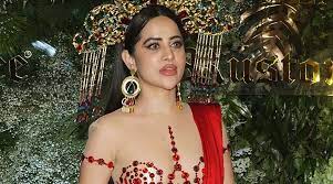 عرفی کی ماہانہ آمدنی اٹھارہ سے بیس کروڑ روپے