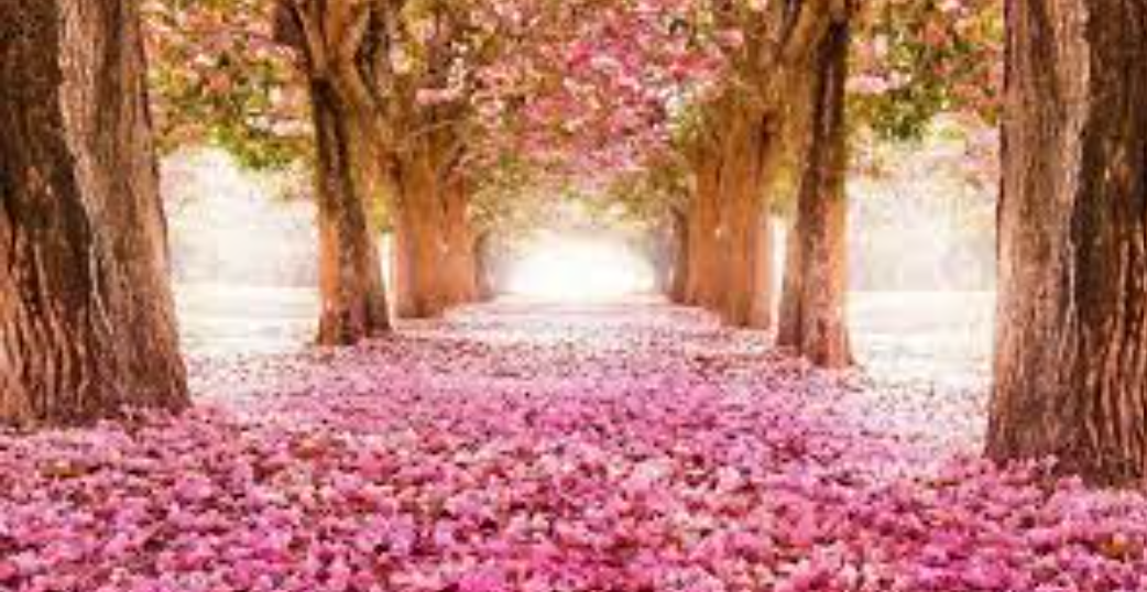 شعور کی روشنی،تحریر:محمد اطہر فتح پوری