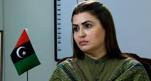 آصف علی زرداری پیپلز پارٹی کے شریک چیئرمین نہیں، شازیہ مری