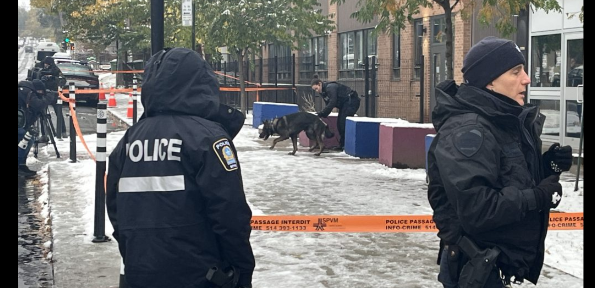 کینیڈا،یہودیوں کے دو تعلیمی اداروں پر گولیاں چل گئیں