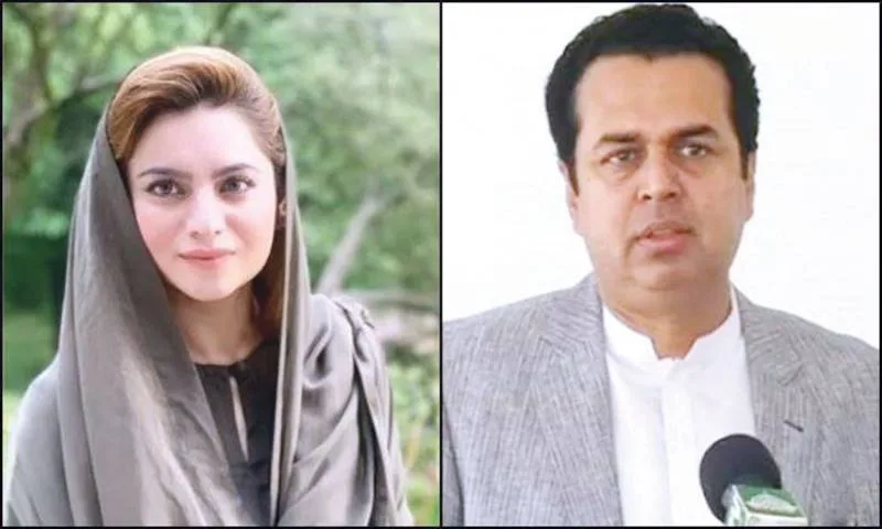 طلال چوہدری ،عائشہ رجب علی کو ٹکٹ نہ ملنے پر "تنظیم سازی” سوشل میڈیا پر زیر بحث