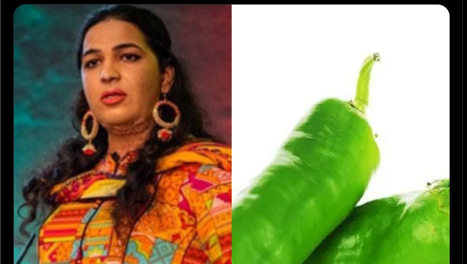 خواجہ سرا نایاب علی نے انتخابی نشان ” ہری مرچ "مانگ لیا