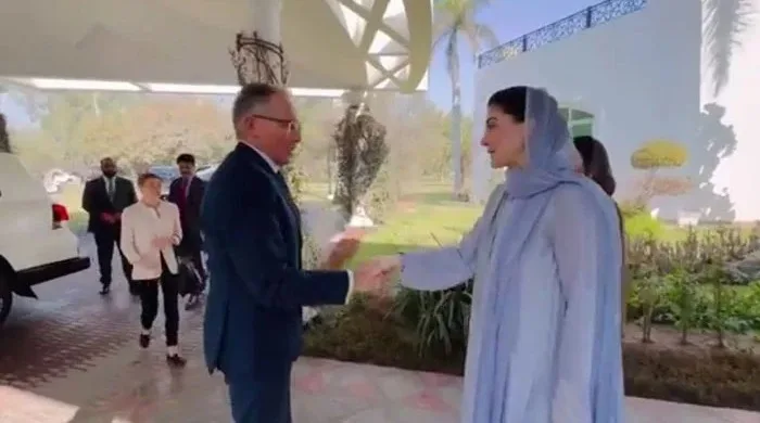 نامزد وزیر اعلیٰ پنجاب مریم نواز  سے  آسٹریلین ہائی کمشنر کی ملاقات