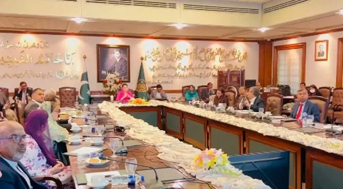 مریم نواز نے سرکاری اسپتالوں کی ایمرجنسی میں مفت ادویات کی فراہمی کا پلان طلب کرلیا