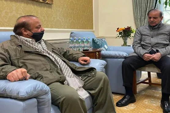 شہباز شریف کی مختلف اتحادیوں سے ملاقاتوں کے بارے میں نواز شریف کو بریفنگ