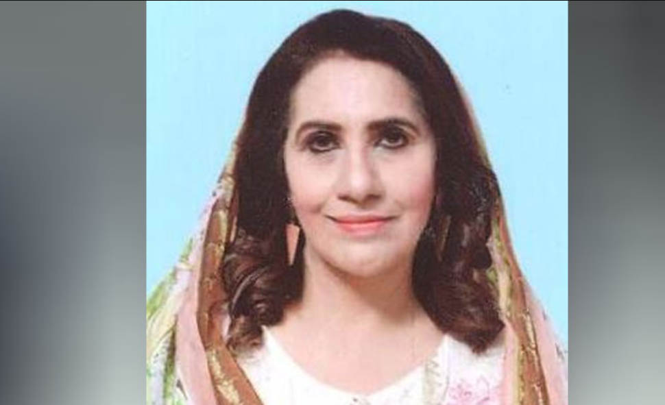 عظمیٰ کاردار "چوروں ” کا شکار بن گئیں