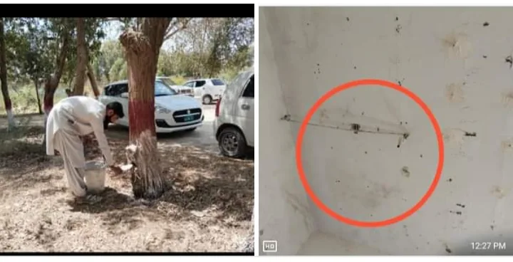 محکمہ ایریگیشن نصیر آباد کے دفتر کی طویل ویرانی