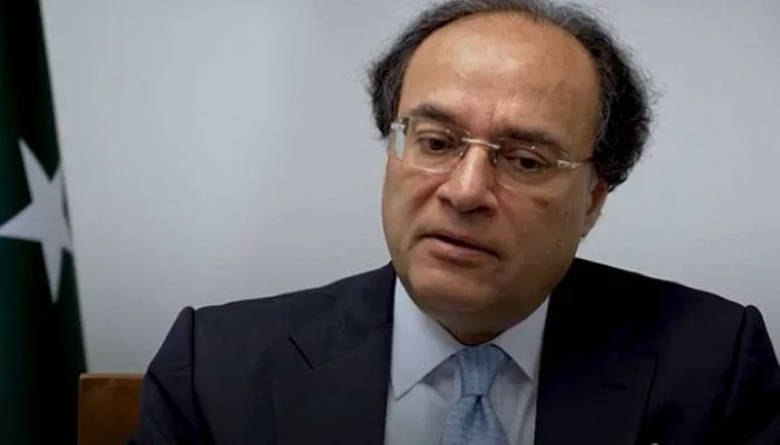 بجلی قیمت میں کمی، جلد ہی وزیر اعظم اعلان کریں گے، وزیر خزانہ