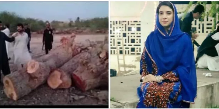 ڈپٹی کمشنر لسبیلہ کا ضلع لسبیلہ میں ٹمبر مافیا کے خلاف سخت کارروائی کا حکم