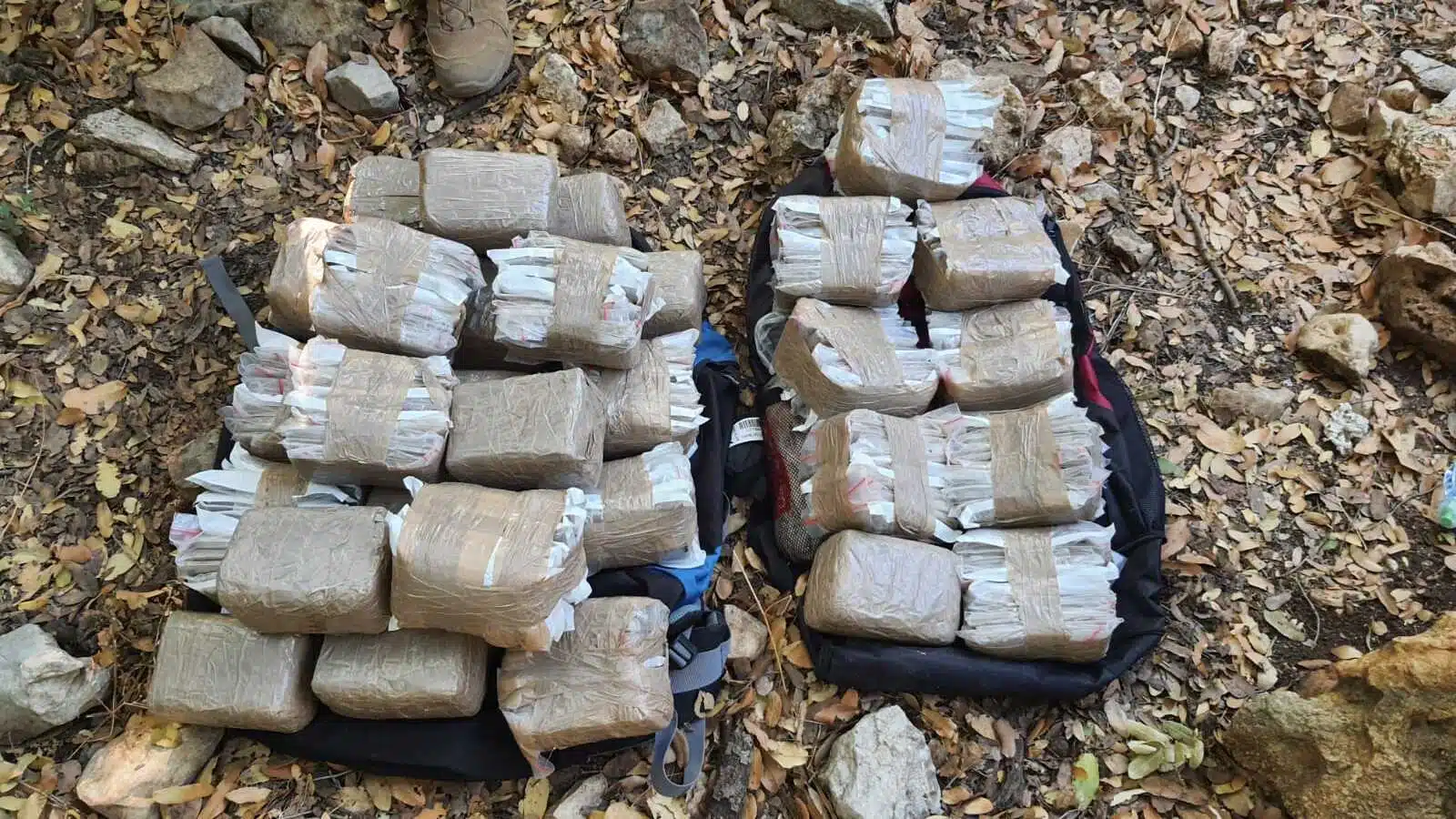 پاکستان کوسٹ گارڈز کی کاروائیاں،چھالیہ،گٹکا،ایرانی ڈیزل برآمد