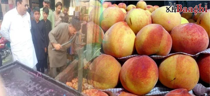 منڈی بہاؤالدین:پاہڑیانوالی میں مارکیٹ میں سرخ رنگ لگے  دو نمبر آڑو پکڑے گئے