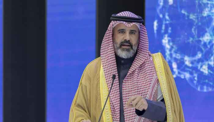 سعودی عرب پاکستان کو معاشی طور پر مضبوط دیکھنا چاہتا ہے،سعودی نائب وزیر سرمایہ کاری