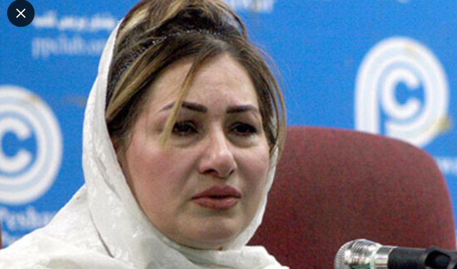 ن لیگ میں ون مین شو،صوبائی نائب صدر عہدے سے مستعفی