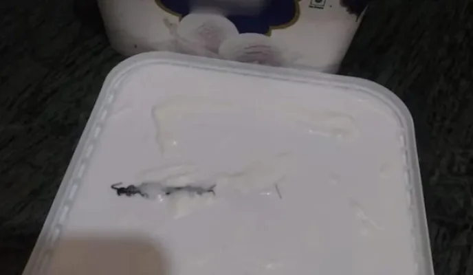 آن لائن منگوائی گئی آئسکریم میں کنکھجورا نکل آیا