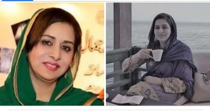 مجھے بس وہ ، اسے سارا زمانہ چاہئے تھا