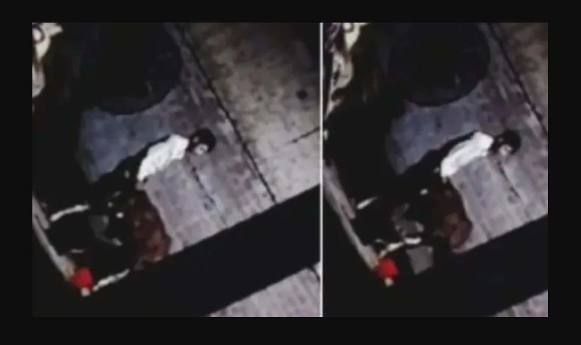 گائے کے ساتھ جنسی زیادتی کی ویڈیو وائرل،ملزم گرفتار،بکری اورکتے بھی بنے نشانہ