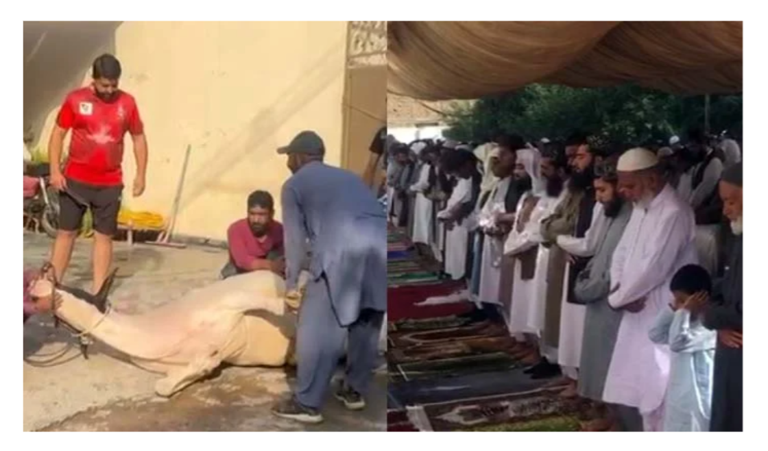 عید الاضحیٰ مذہبی جوش و خروش سے منائی جا رہی، قربانیاں جاری