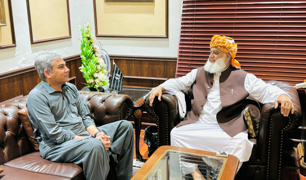 وفاقی وزیرداخلہ   کی مولانا فضل الرحمان سے ملاقات،کرم پر گفتگو