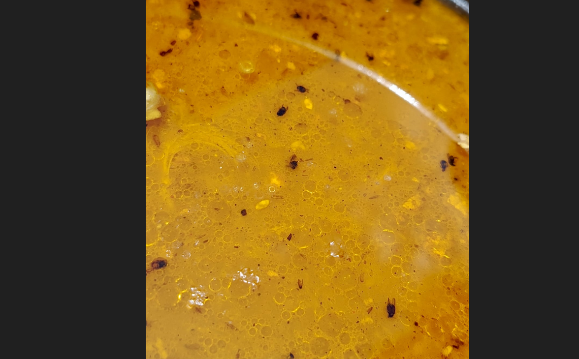 سرکاری سکول میں "سالن پر تیرتی مکھیاں،کیڑے” سکول پہنچ گئے