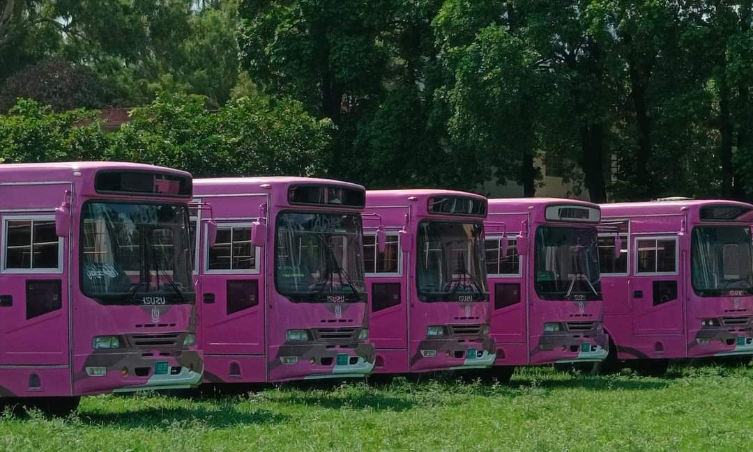 pink bus
